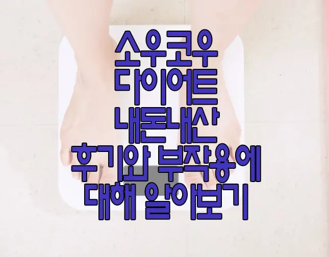 소우코우 다이어트 내돈내산 후기에 관한 글 썸네일