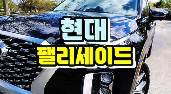 팰리세이드7인승