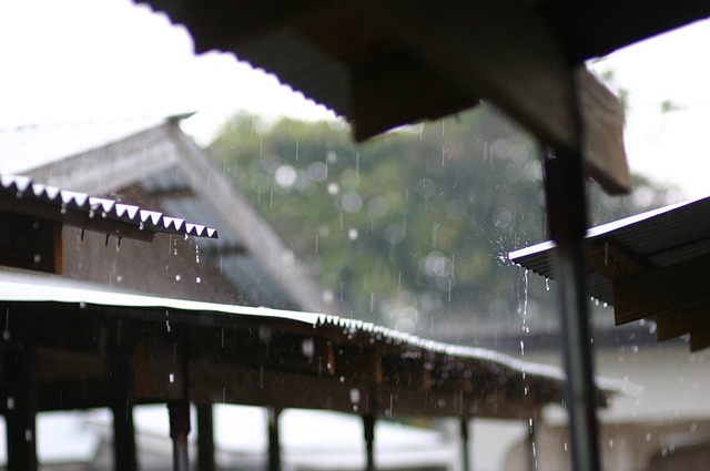 비오는 날 예시 사진 - 출처 픽사베이