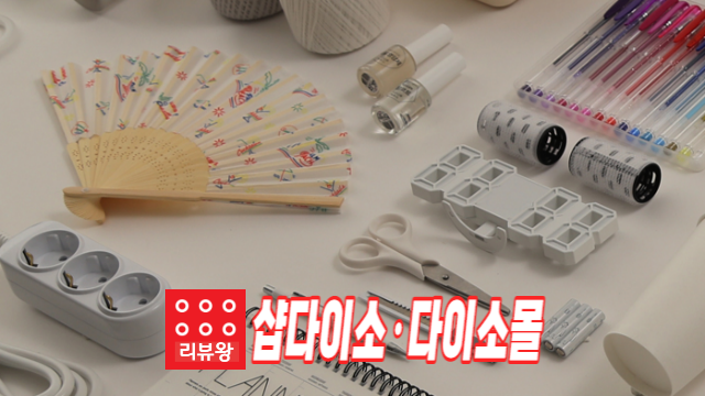 샵다이소 다이소몰 차이점
