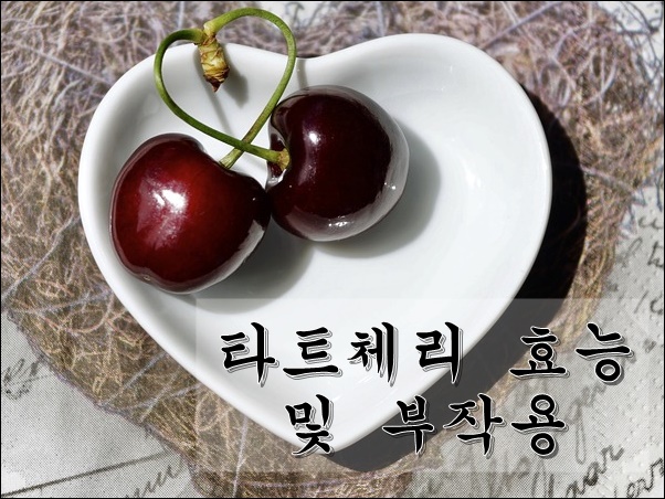  타트체리 효능, 복용법 및 부작용