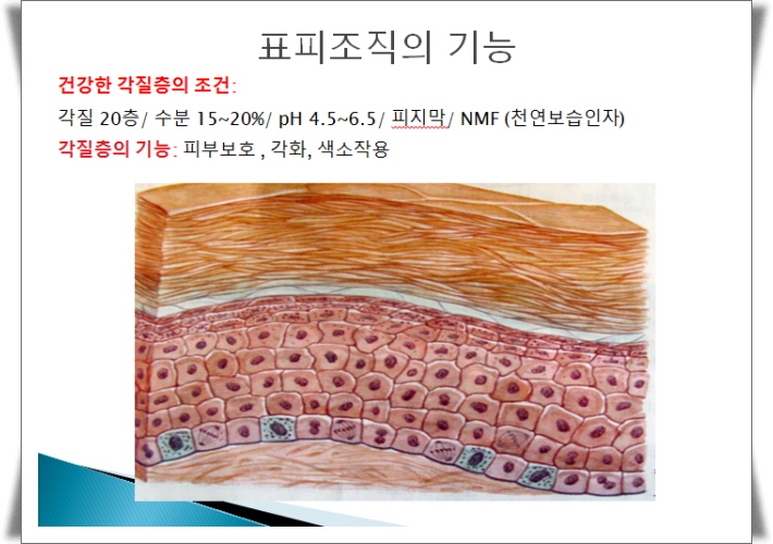 피부야 이미지