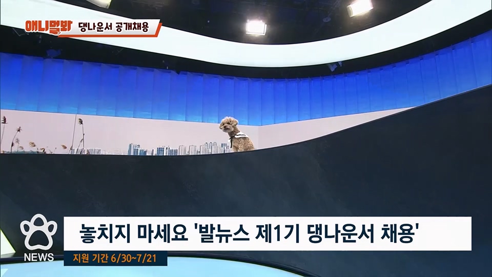 TV 동물농장.E1128.230709p.H264-F1RST.mp4_20230709_183622.180.jpg