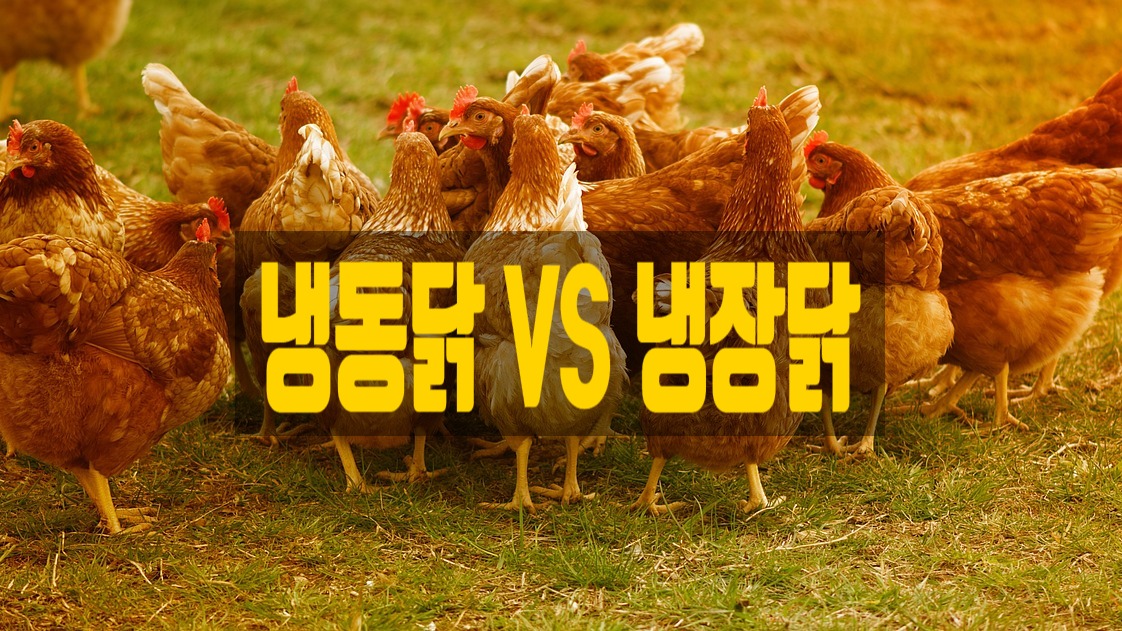 우리냉장 이미지