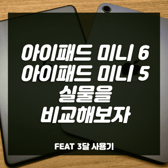  리뷰 - 아이패드 미니 6과 5 실물을 비교해보자 .feat 3달 사용기