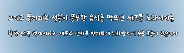  그리고 폴리페놀 성분이 풍부한 음식을 먹으면 세포를 노화시키는 활성산소를 억제시키고, 세포의 산화를 방지하여 노화방지에 좋은 효능이 있습니다