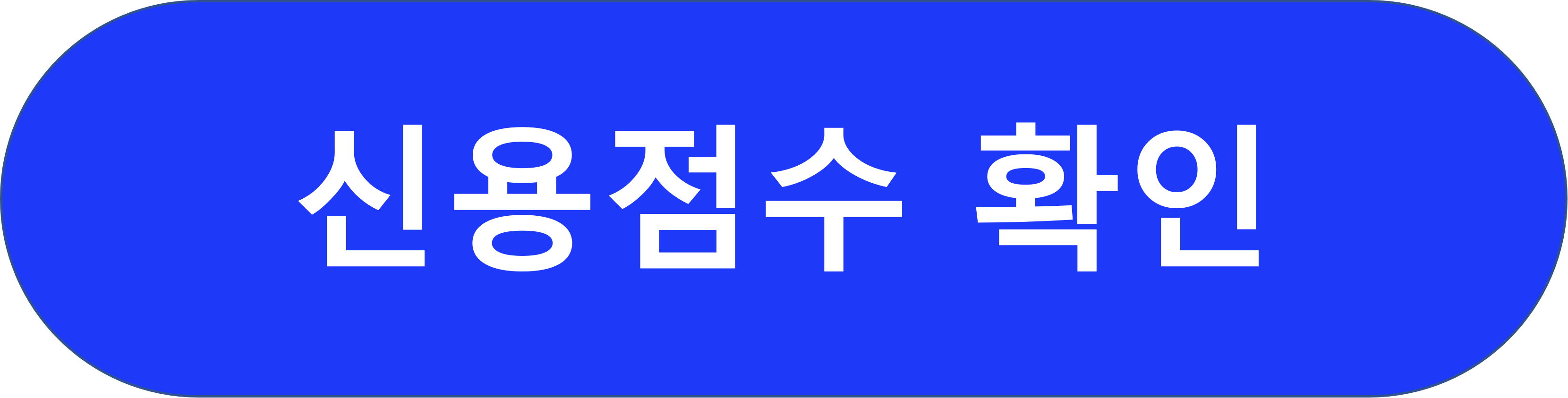 신용 점수 확인