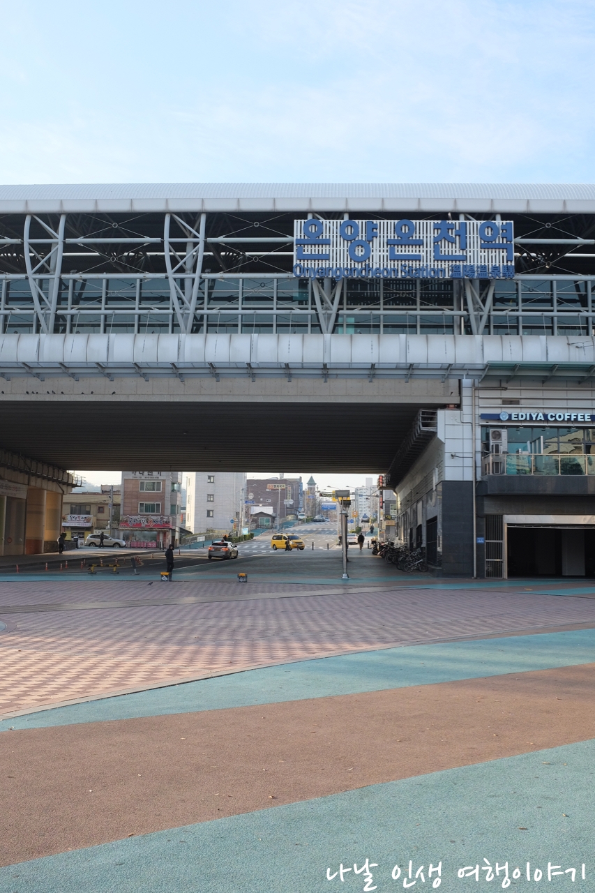 “곡교천변_은행나무길_02”data-filename=