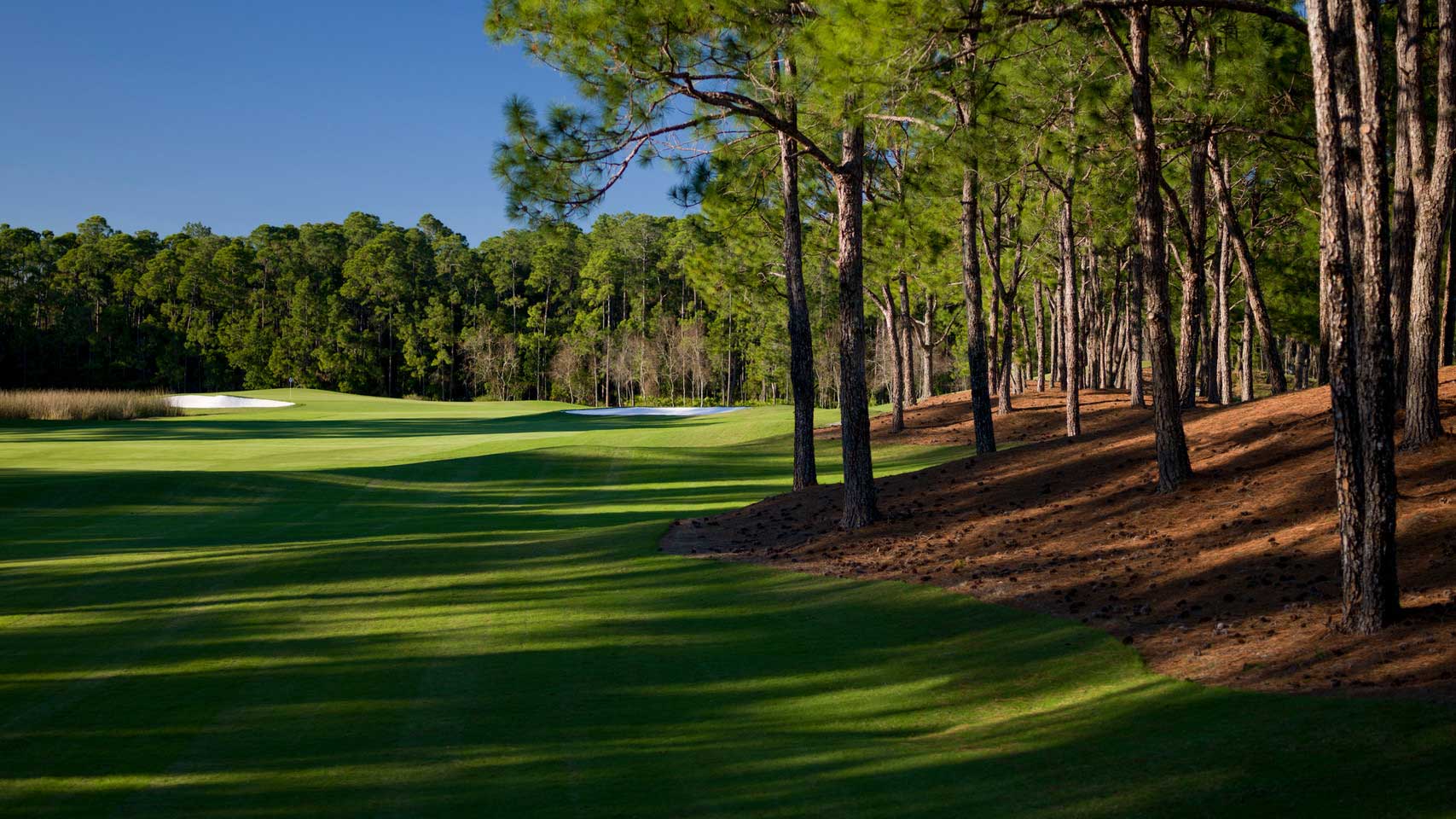 Tournament course: Lake Nona Golf and Country Club