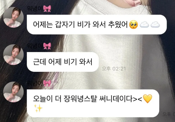  요즘 유행한다는 원영적 사고 뜻