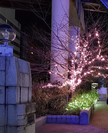 Hotel Royal Oak Gotanda 주변
