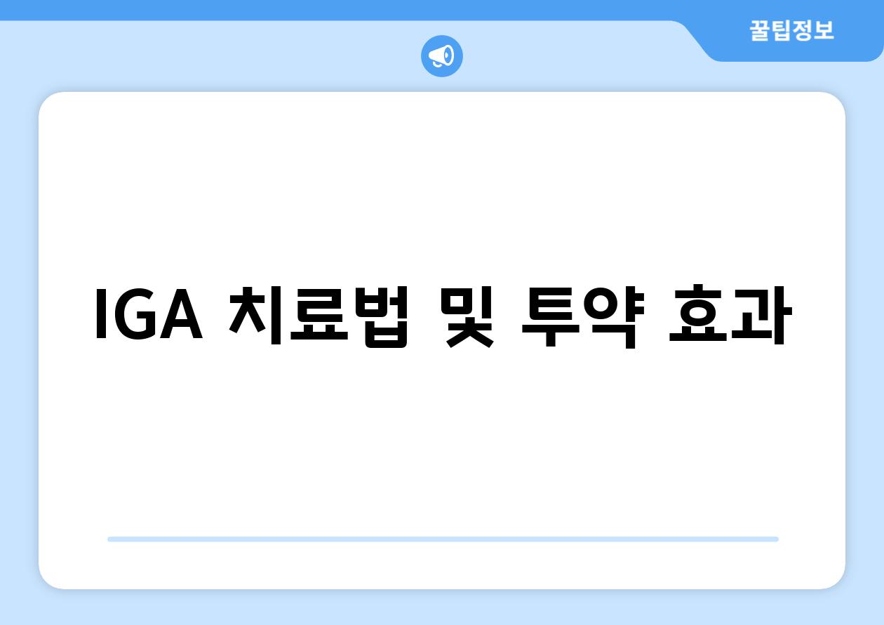 IGA 치료법 및 투약 효과