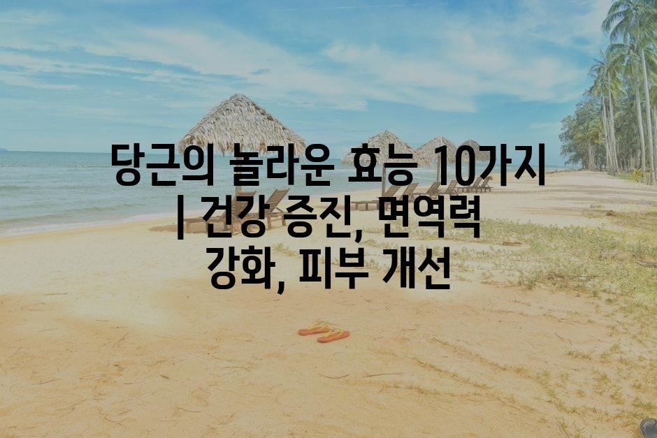샘플 (87)