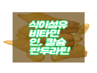 분말, 환, 말린건재 파는곳 판두라틴 핑거루트 효능과 먹는법 18