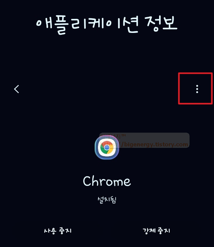 크롬 애플리케이션 정보 더보기
