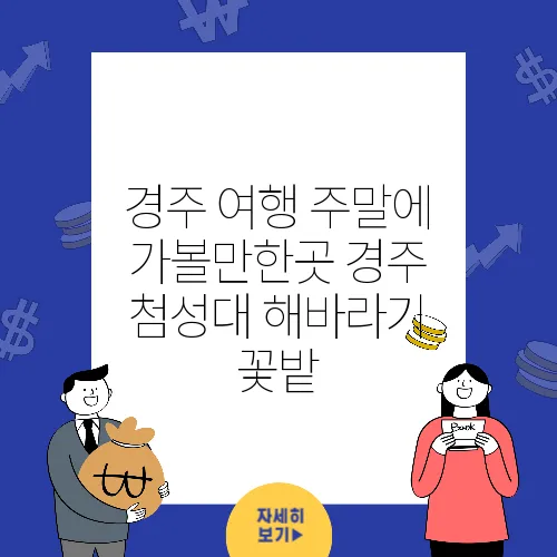 경주 여행 주말에 가볼만한곳 경주 첨성대 해바라기 꽃밭