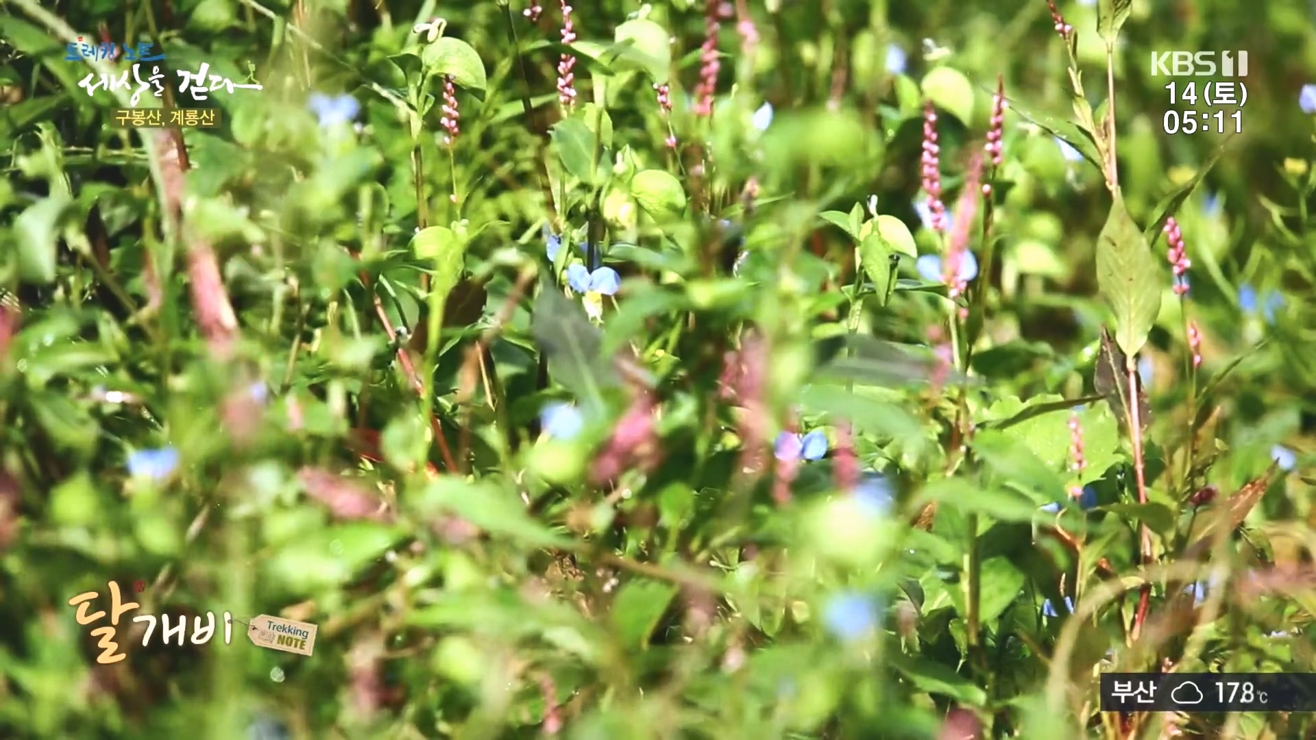 트레킹노트 세상을 걷다.E290.231014p.H264-F1RST.mp4_20231014_175210.085.jpg