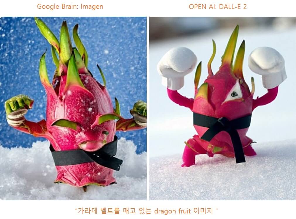 dragon fruit 이미지 비교