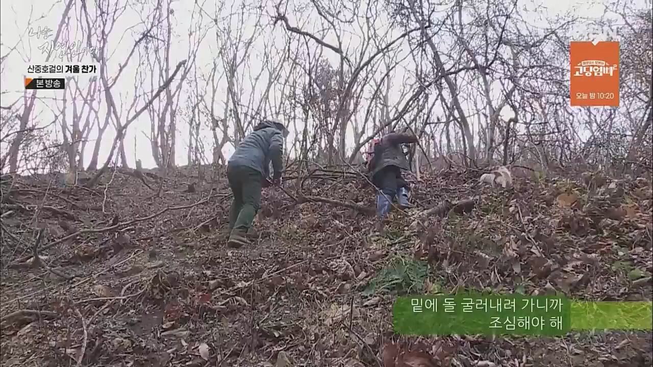 나는 자연인이다.E533.221222p.WANNA.mp4_20221222_194232.130.jpg
