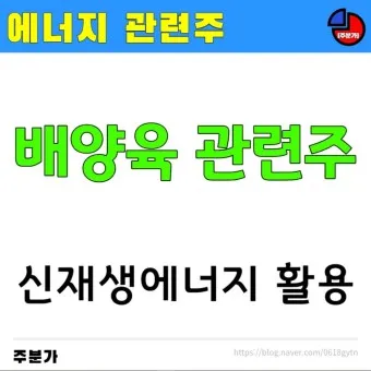 배양육 대장주 관련주 TOP5 총정리_3