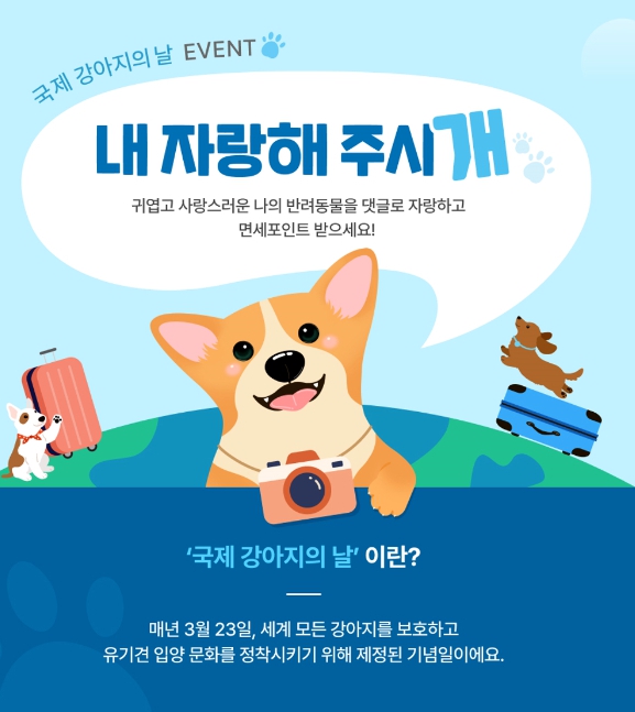 국제 강아지의 날 내 자랑 해 주시개