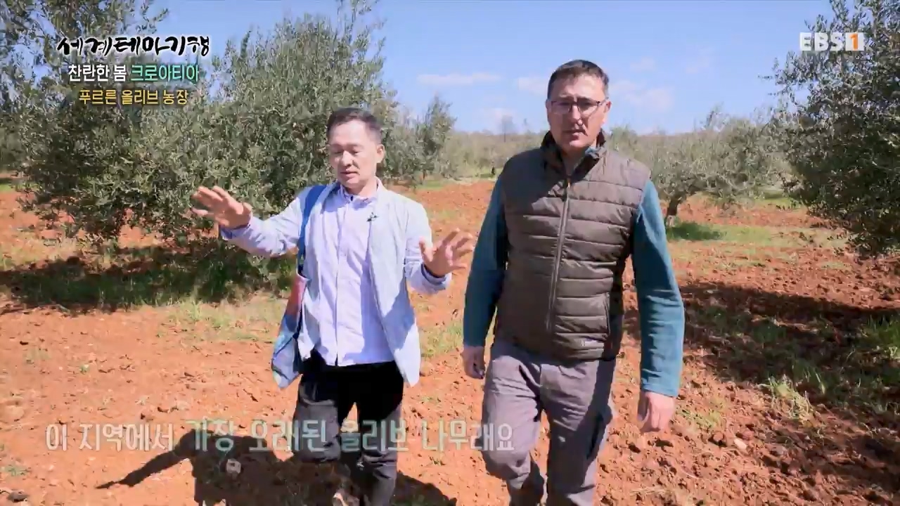 세상의모든기행찬란한 봄 크로아티아-골목골목 도시 산첵.mp4_20230523_205657.936.jpg