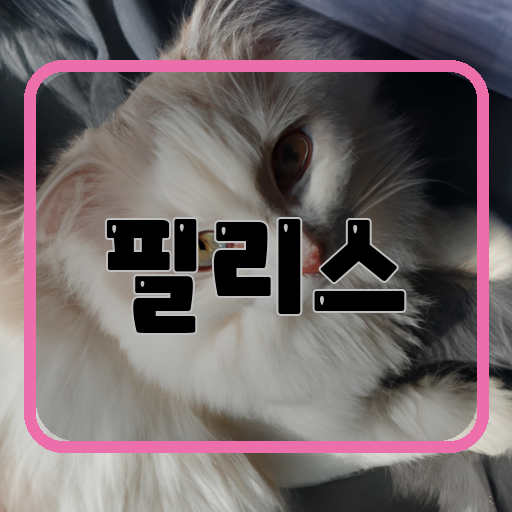 필리스 이미지