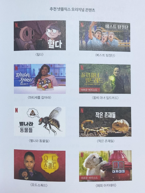 추천 넷플릭스 오리지널 콘텐츠