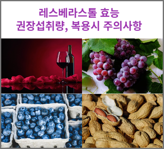 레스베리스톨 효능&#44; 권장섭취량&#44; 복용시 주의사항
