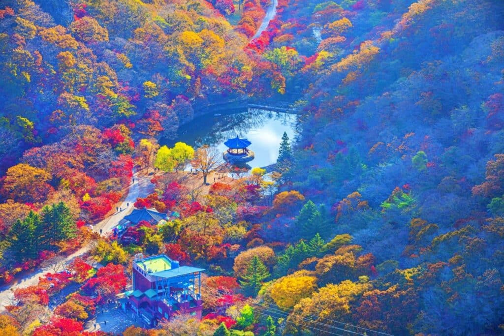 내장산 단풍축제 우화정