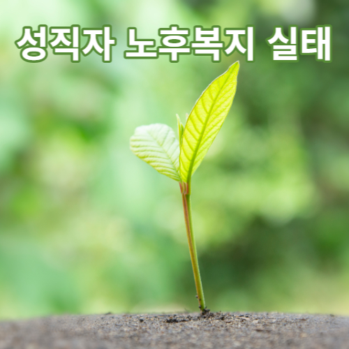 성직자 노후복자 실태