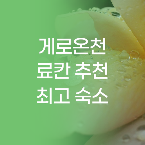 기후현 게로 온천 료칸 추천 최고의 