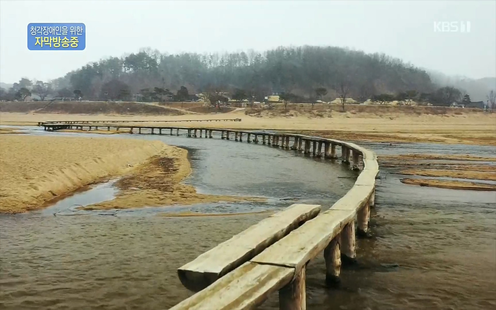 다큐 On.E156.220909p.H264-F1RST.mp4_20220910_192925.780.jpg