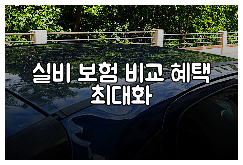 실비 보험 비교 혜택 최대화