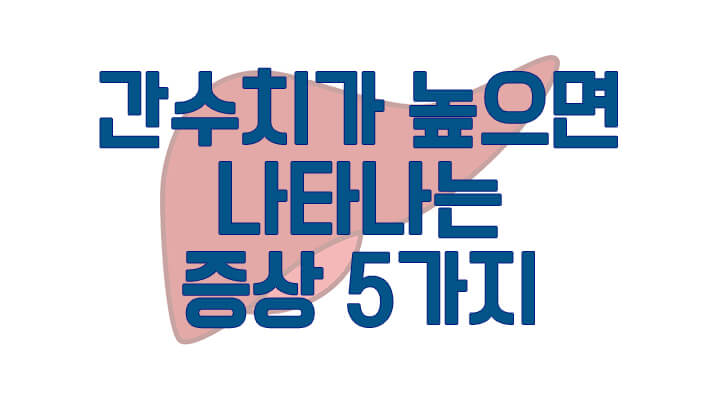 간수치가-높으면-나타나는-증상-5가지