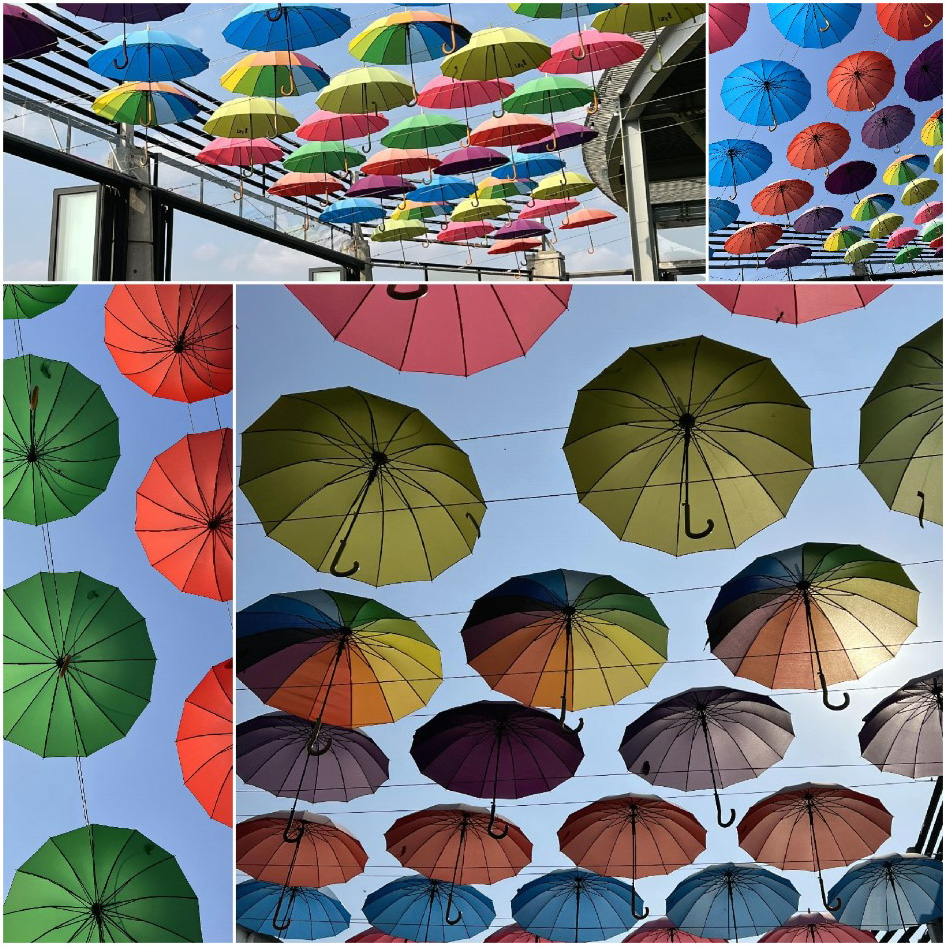파주 카페 서 루프탑 모습. 루프탑의 우산이 매우 알록달록하고 예쁘다.