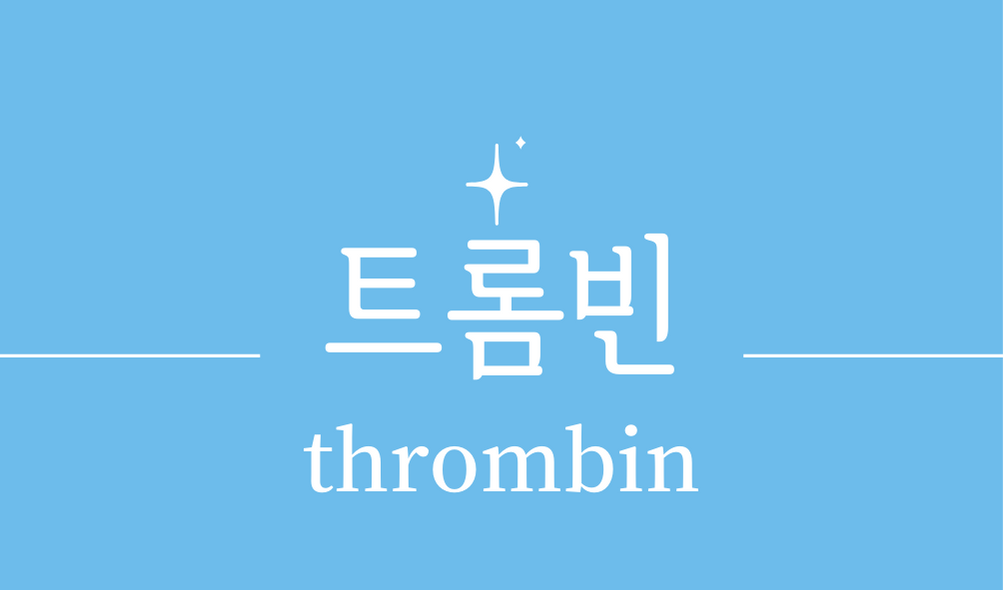 &#39;트롬빈(thrombin)&#39;