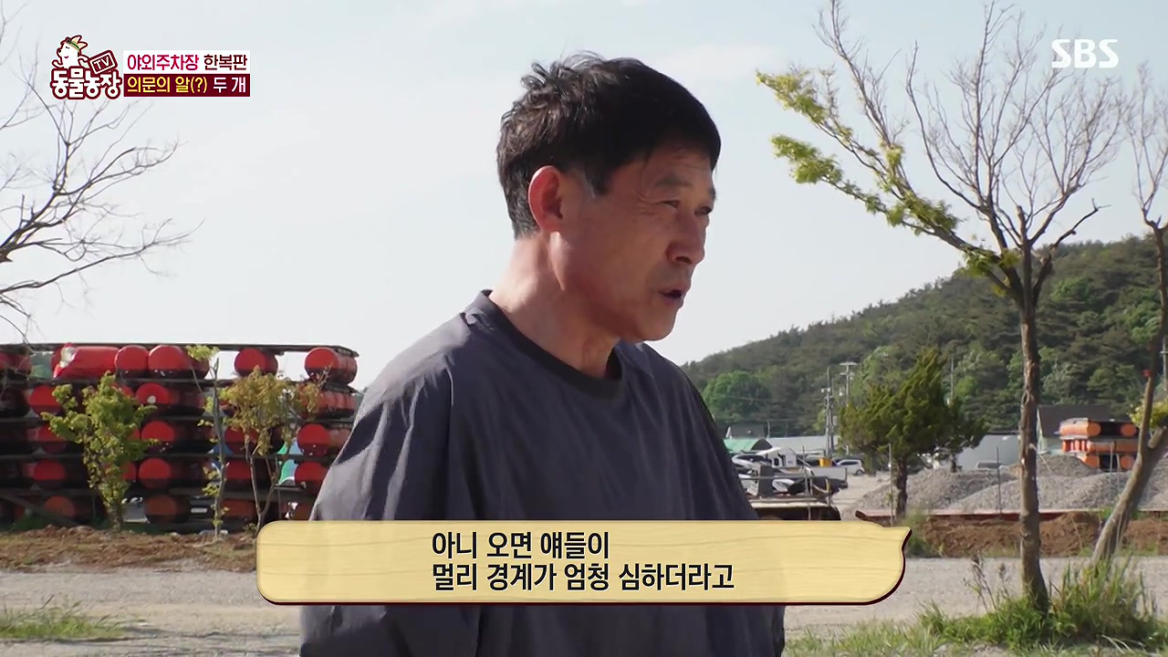 TV 동물농장.E1176.240617p-NEXT.mp4_20240616_170143.398.jpg