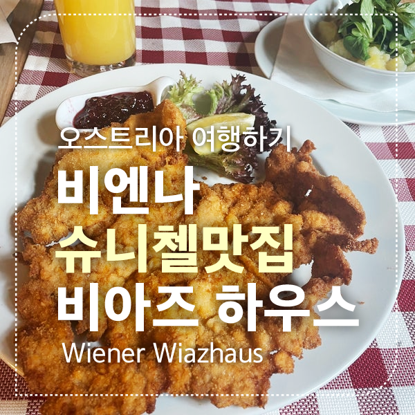 슈니첼 섬네일