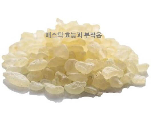  매스틱 효능과 부작용