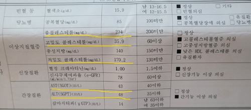 혈액검사-결과지