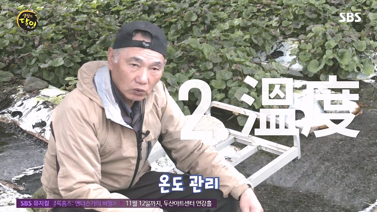 생활의 달인.E908.231017p-NEXT.mp4_20231017_200017.250.jpg