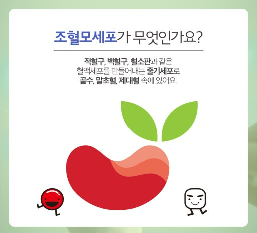 조혈모세포 이식 혈액암 환자 생존기간 늘려