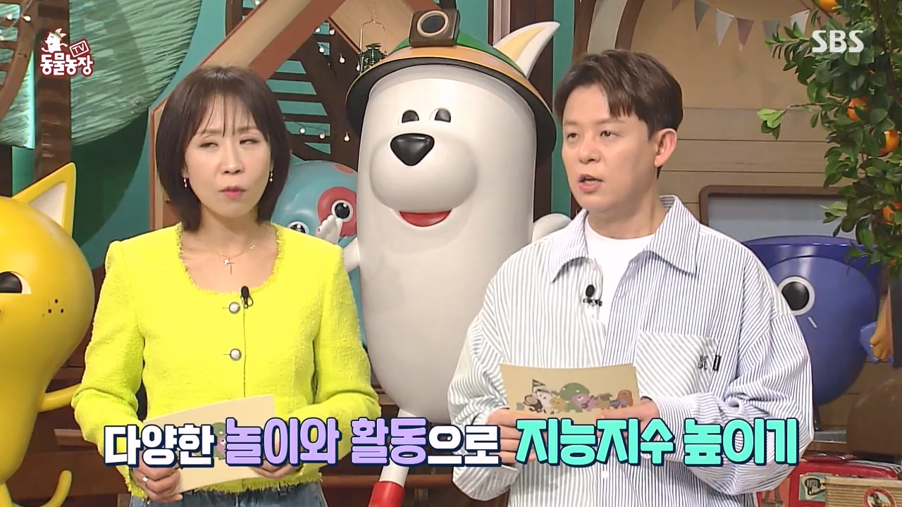 TV 동물농장.E1173.240527p-NEXT.mp4_20240526_155708.440.jpg