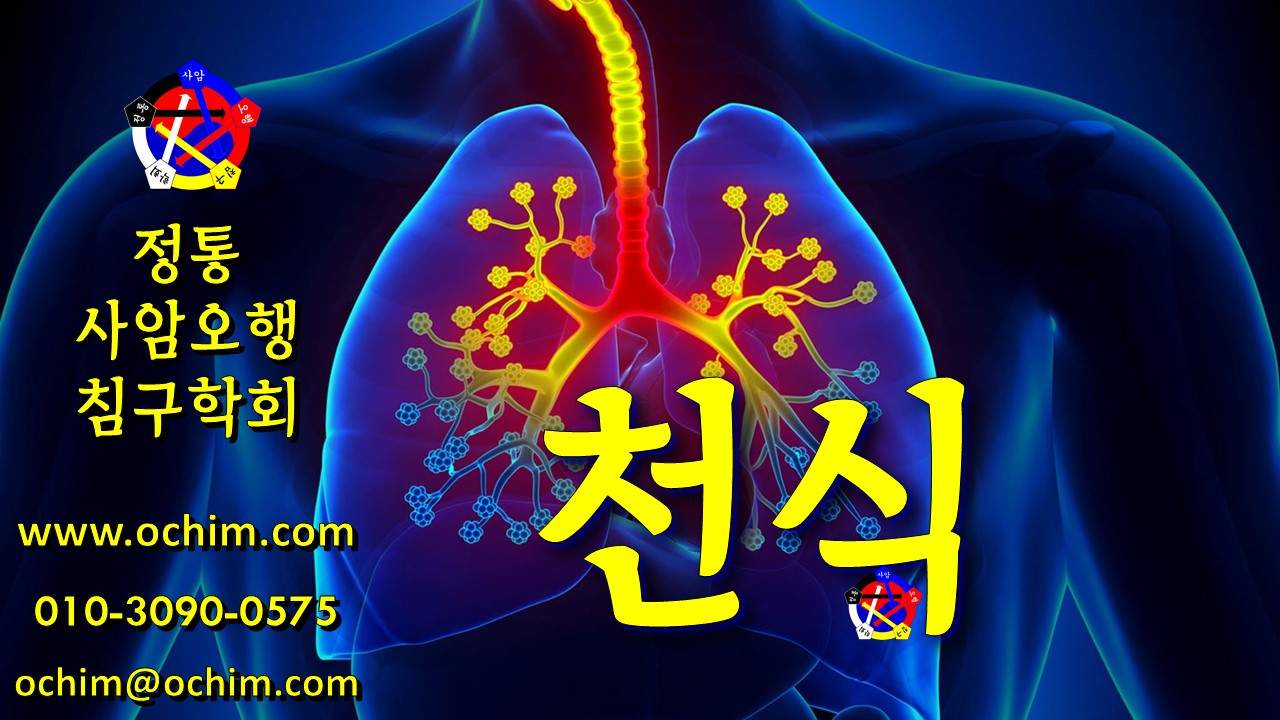 천식 치료 방법 - 사암침법&#44; 오행침&#44; 정통사암침 - 비과학적 양의학 220