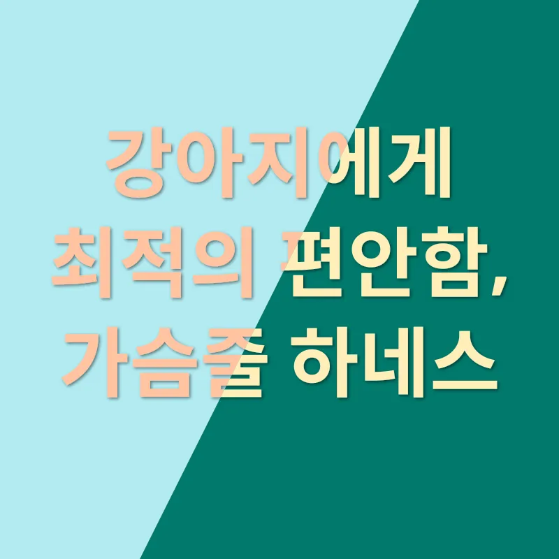 애견장례지도사_3