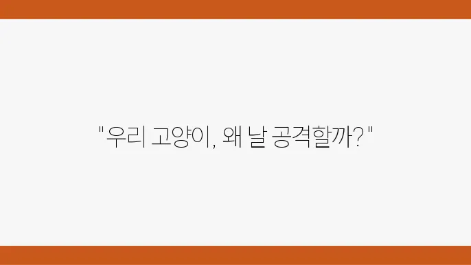 고양이의 공격성 문제, 해결할 수 있는 방믄은?