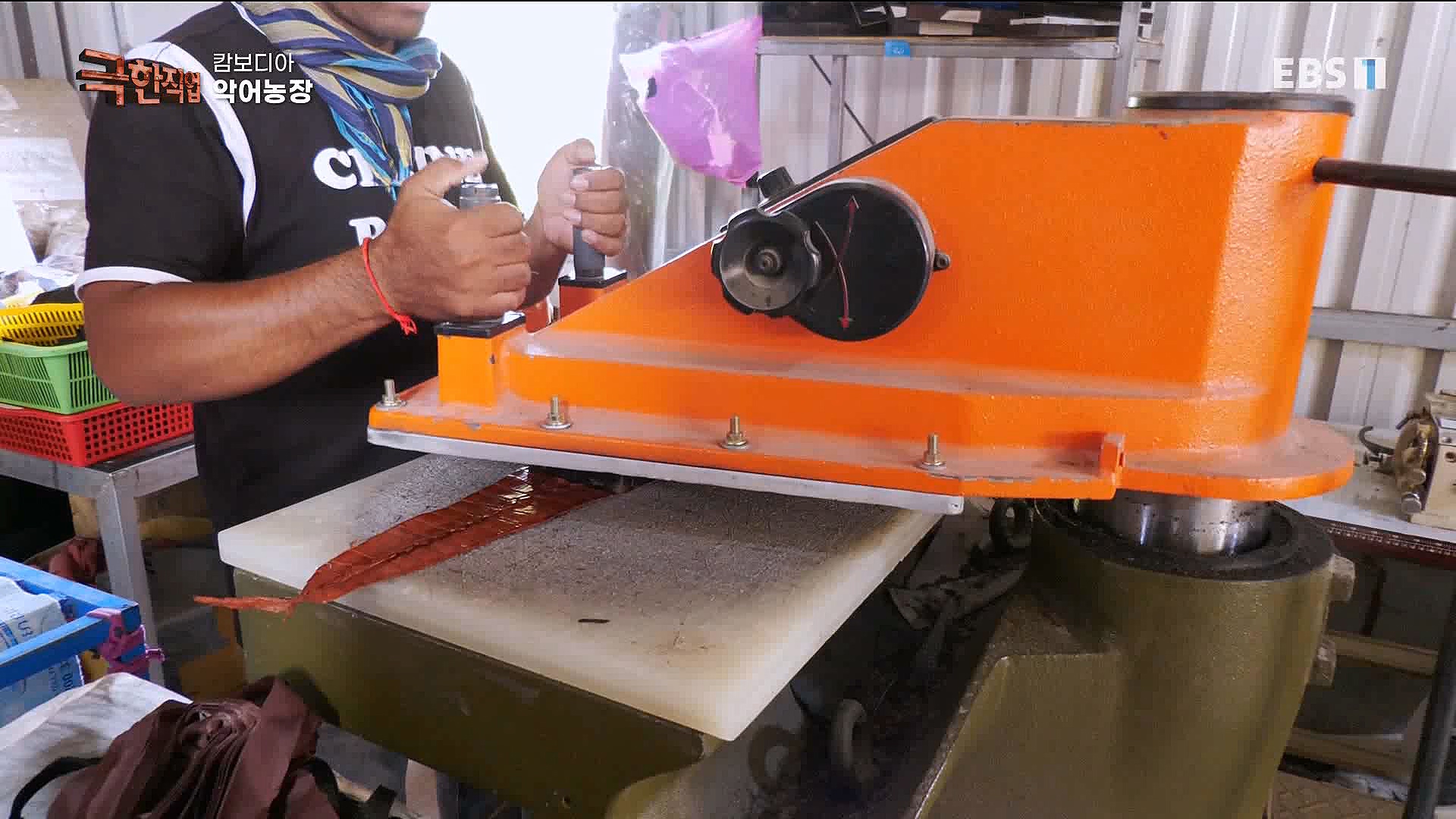 캄보디아 악어농장 230325.mp4_20230327_195002.352.jpg