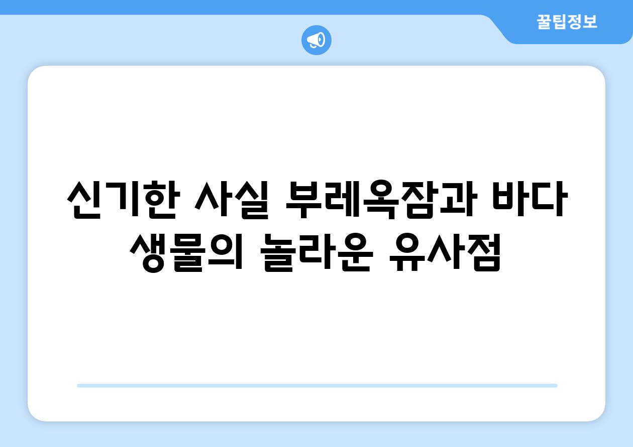 신기한 사실| 부레옥잠과 바다 생물의 놀라운 유사점