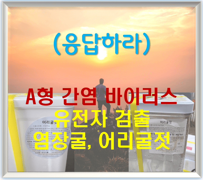 (응답하라) A형 간염 바이러스 유전자 검출 염장굴, 어리굴젓